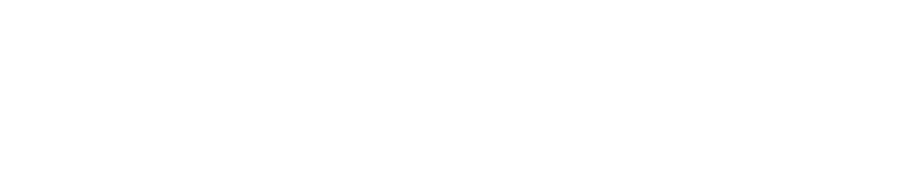 Or Elyashiv Law Firm